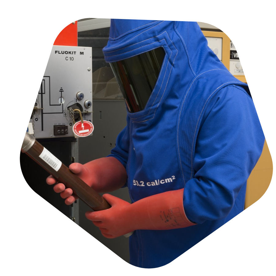 Safeguarding Continuous Operations with Electrical Resilience