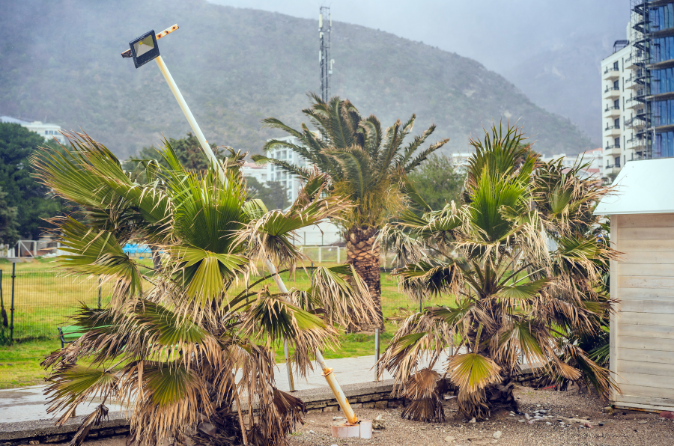 Adapting our power grids to climate change